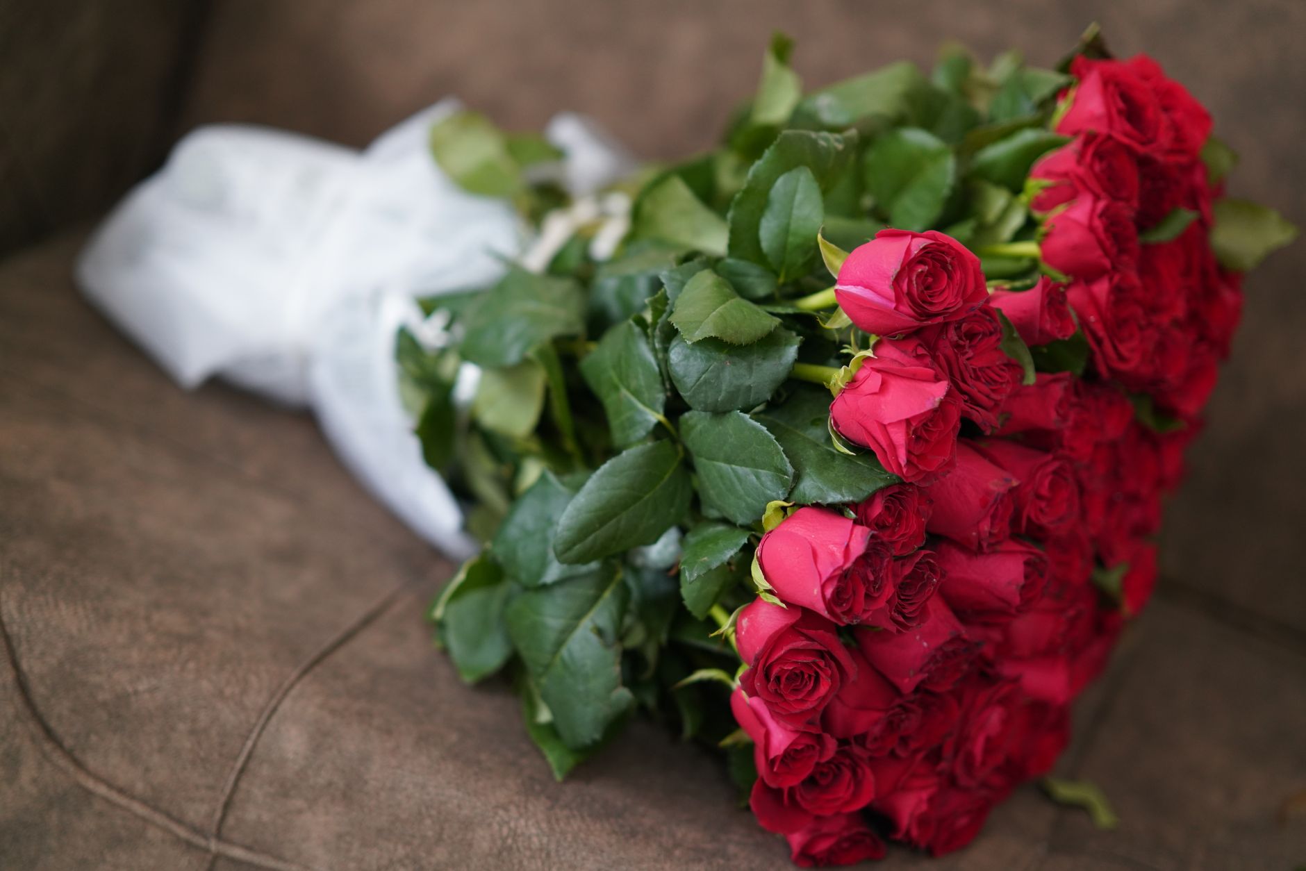 A long-stemmed bouquet of red roses wrapped in white tissue lying on a couch