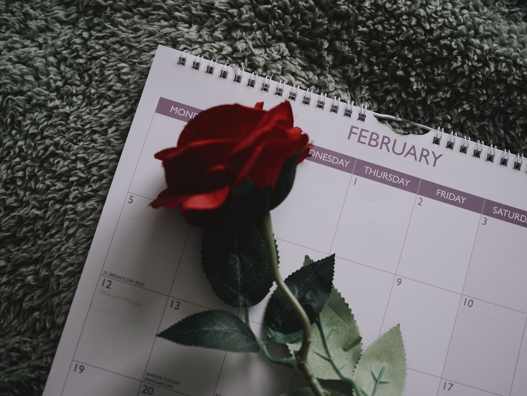 A single red rose resting on a wall calendar page for February