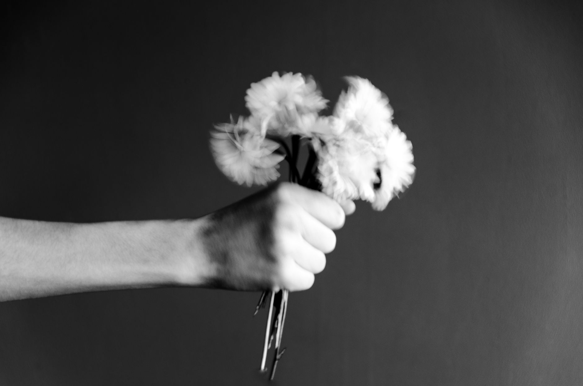 A black and white photo of a hand holding a bunch of white carnations