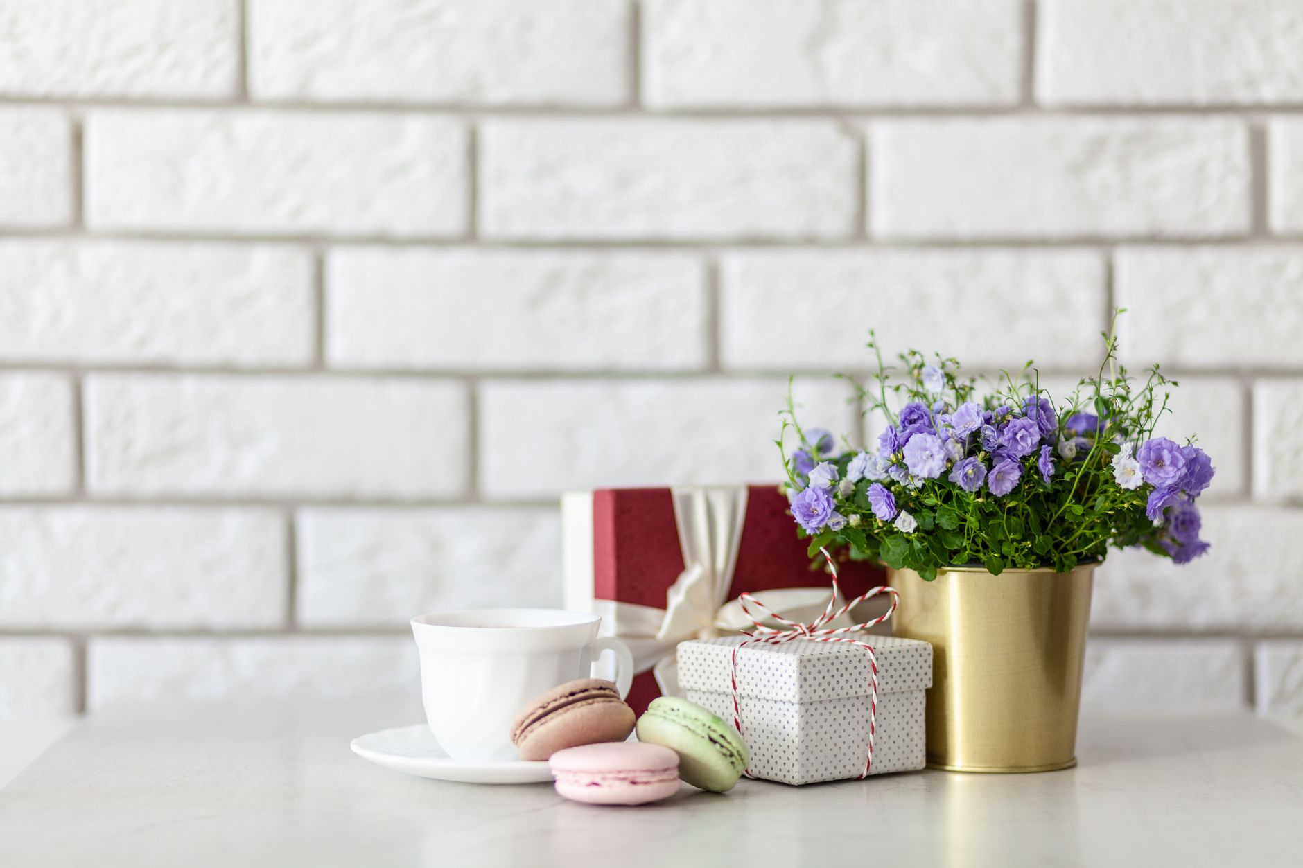 A potted purple flower plant next to wrapped gift boxes on a white brick background