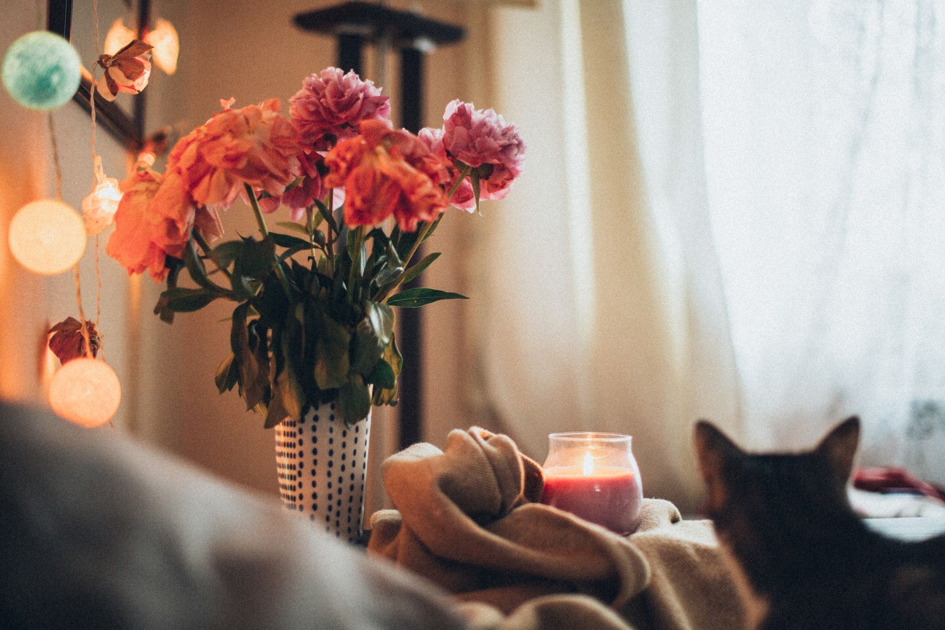 Pink and coral flowers in a vase beside a lit candle on a soft blanket, with string lights and a cat curled up nearby / Flores rosadas y coral en un florero junto a una vela encendida sobre una cobija, con luces y un gato acurrucado