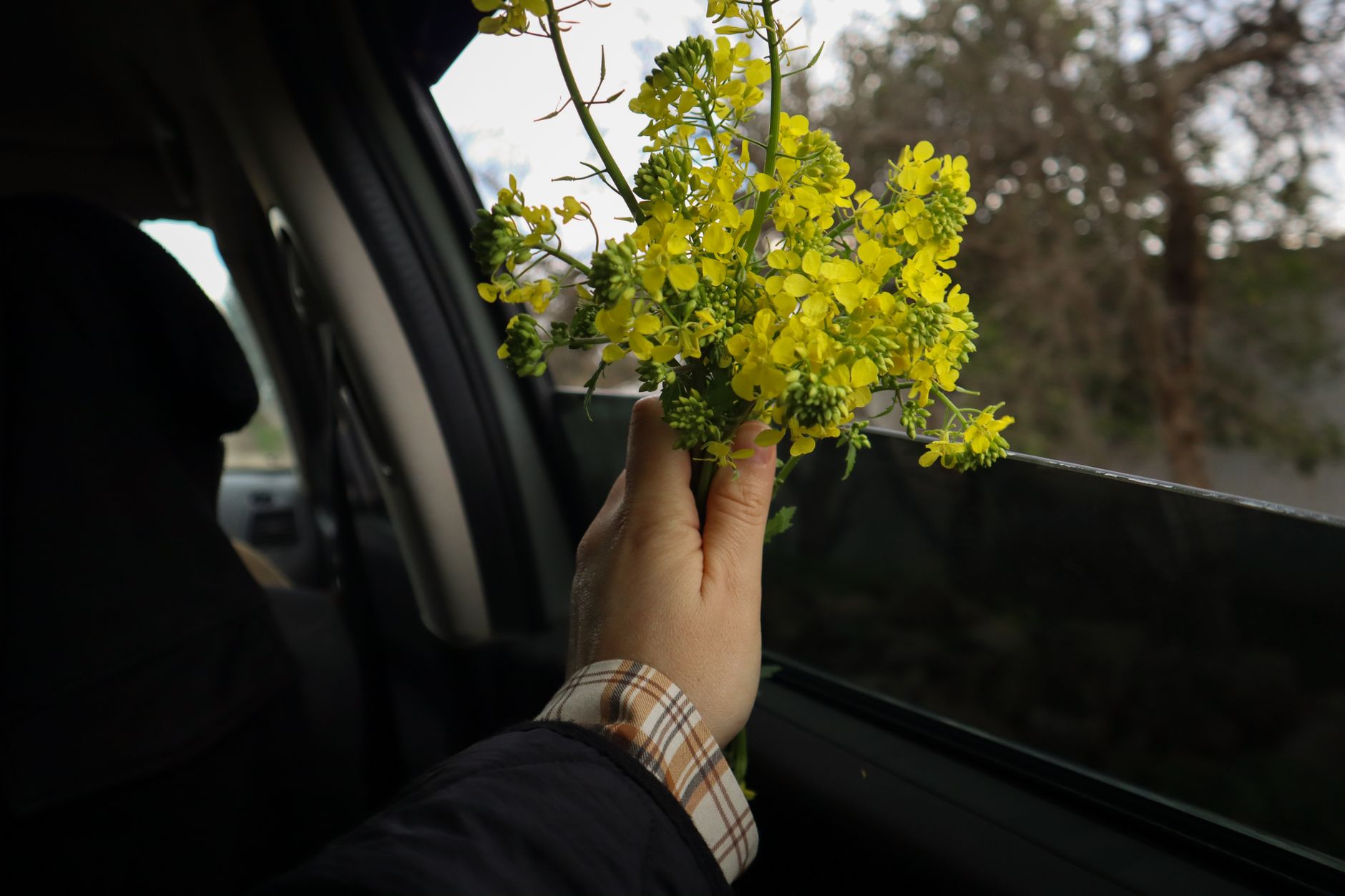 A hand holding a small bunch of yellow flowers out through an open car window on a drive