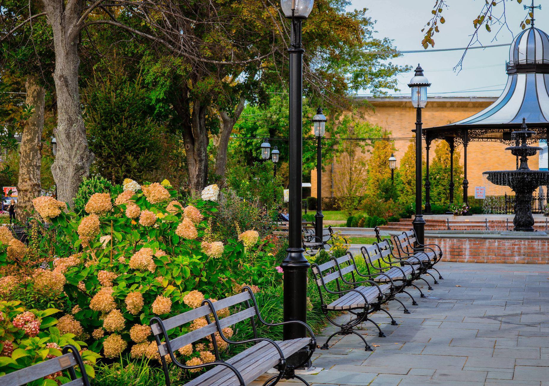 A park path with black lampposts, benches, and orange hydrangeas beside a gazebo